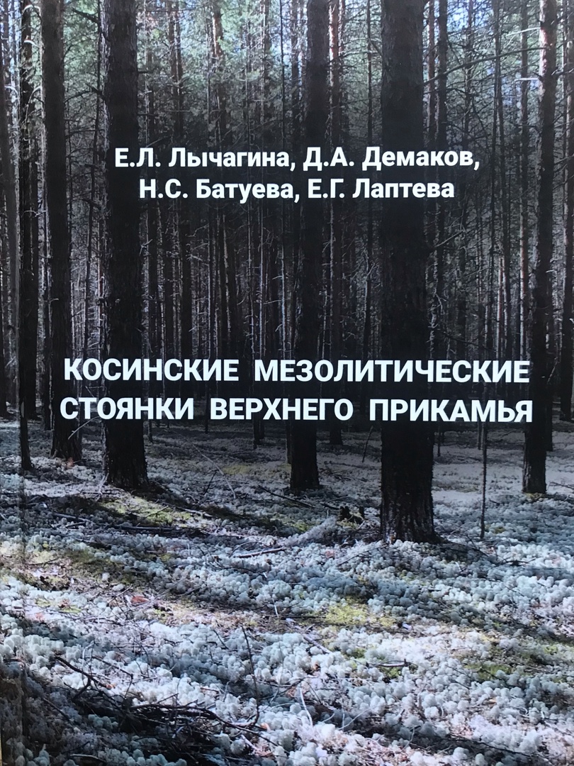 Косинские мезолитические стоянки (монография)